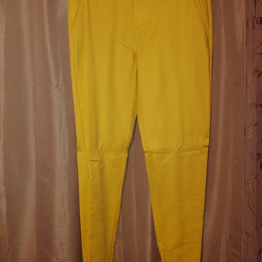 Eye catching dress pants